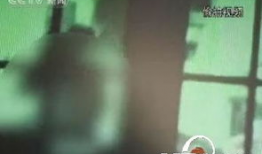 色视视频,色视视频视觉盛宴解析